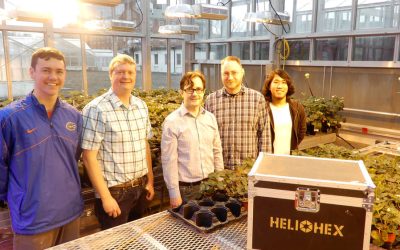 Heliohex and Cornell University Collaborate to Research Better LED Lighting for Plants